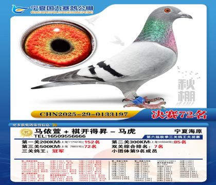 国力秋棚决赛72名