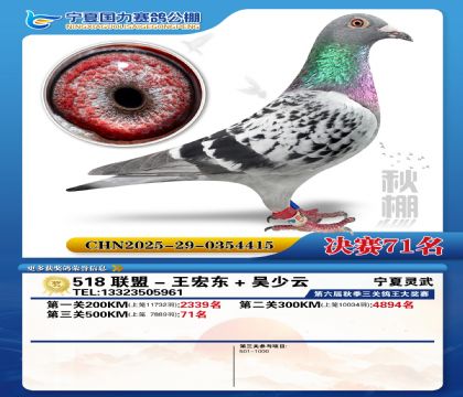 国力秋棚决赛71名