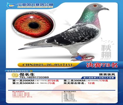 国力秋棚决赛73名