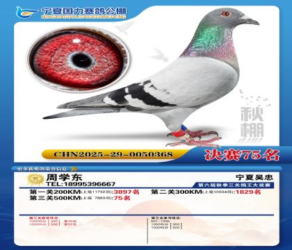 国力秋棚决赛75名