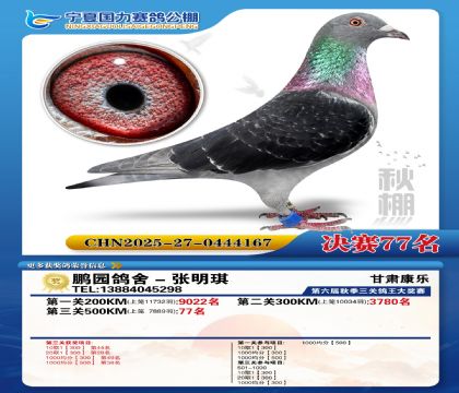 国力秋棚决赛77名