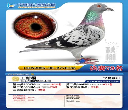 国力秋棚决赛79名