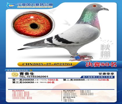 国力秋棚决赛80名