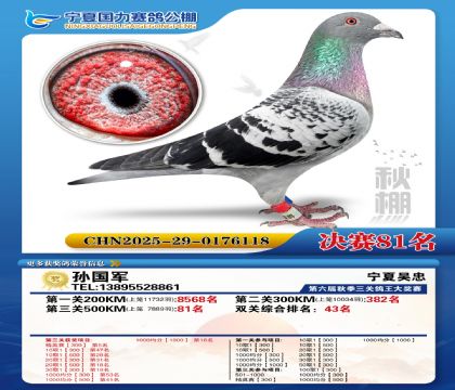 国力秋棚决赛81名