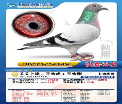 国力秋棚决赛82名