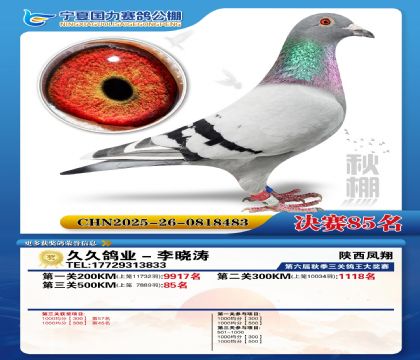 国力秋棚决赛85名