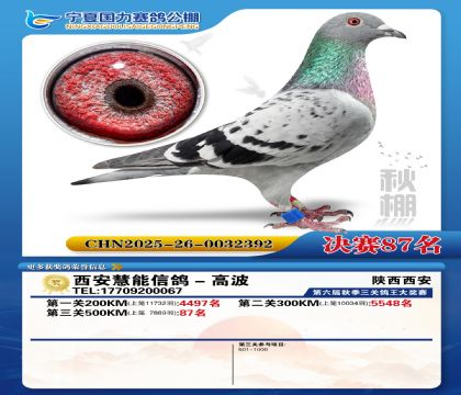 国力秋棚决赛87名