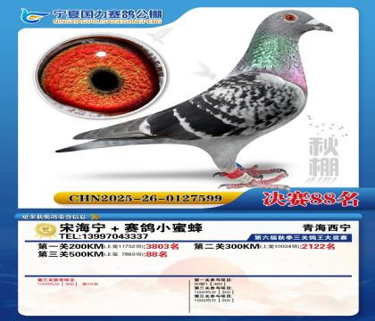 国力秋棚决赛88名