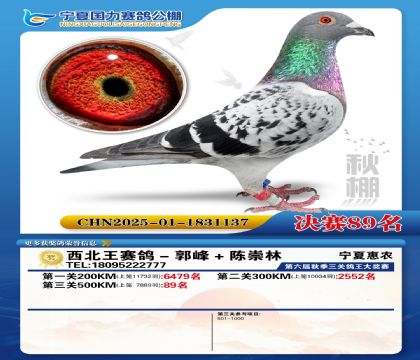 国力秋棚决赛89名