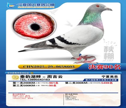 国力秋棚决赛90名