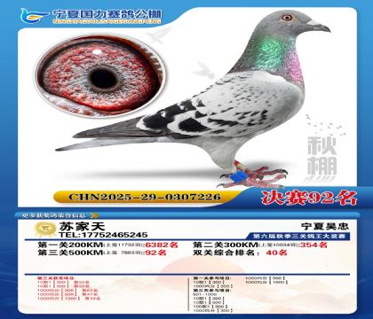 国力秋棚决赛92名