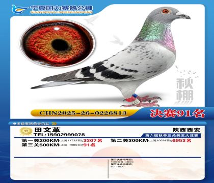 国力秋棚决赛91名