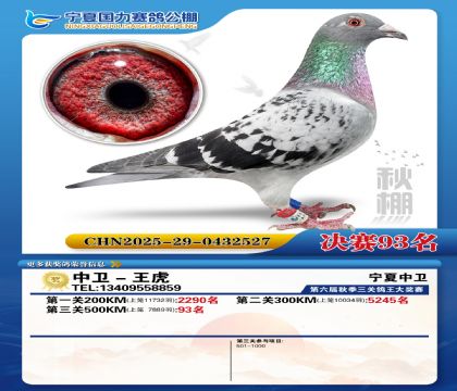 国力秋棚决赛93名