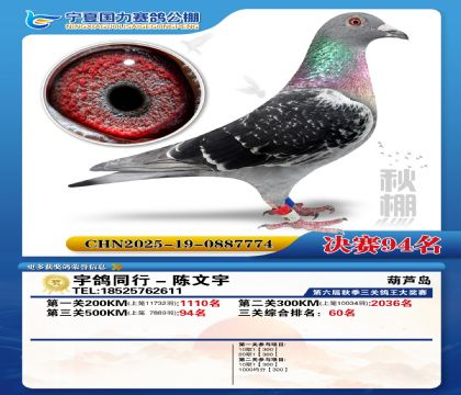 国力秋棚决赛94名