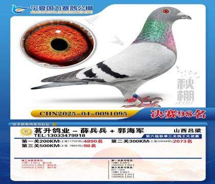 国力秋棚决赛98名