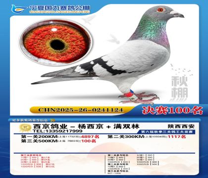 国力秋棚决赛100名