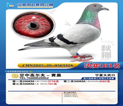 国力秋棚决赛101名