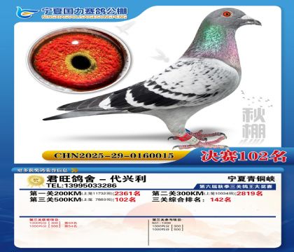 国力秋棚决赛102名