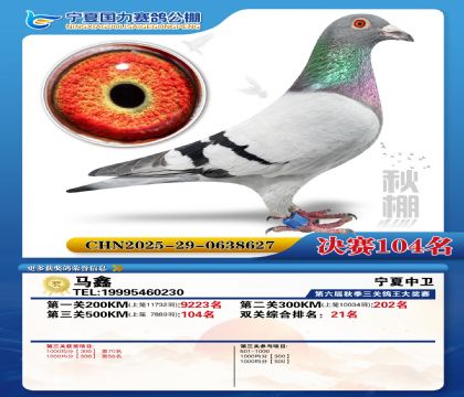 国力秋棚决赛104名