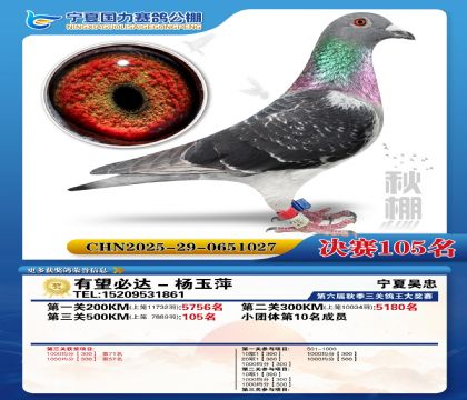 国力秋棚决赛105名