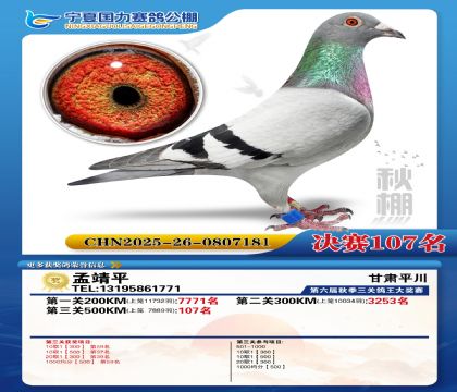 国力秋棚决赛107名