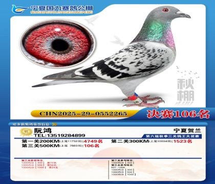 国力秋棚决赛106名