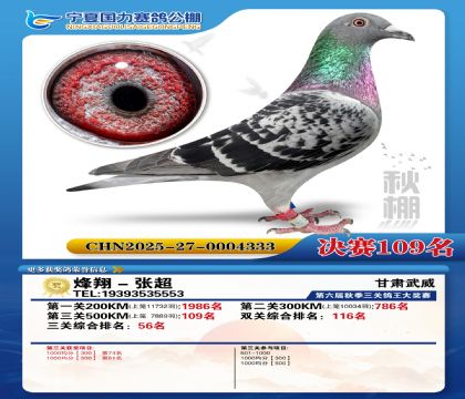 国力秋棚决赛109名