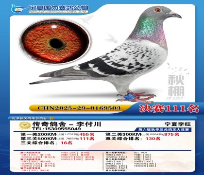 国力秋棚决赛111名