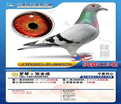 国力秋棚决赛113名