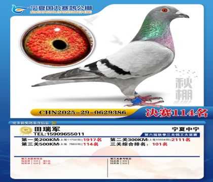 国力秋棚决赛114名