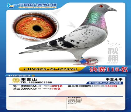 国力秋棚决赛115名