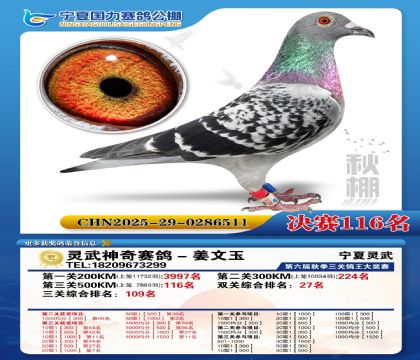 国力秋棚决赛116名