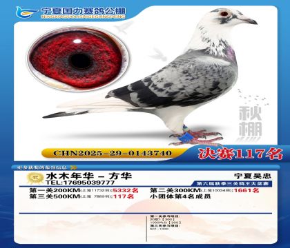 国力秋棚决赛117名