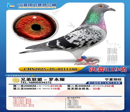 国力秋棚决赛119名