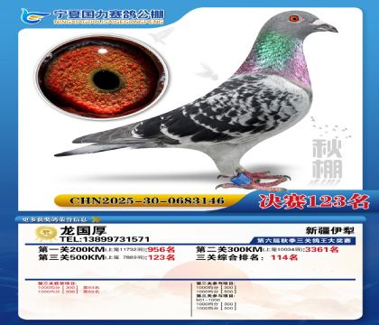 国力秋棚决赛123名