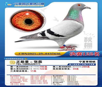 国力秋棚决赛122名