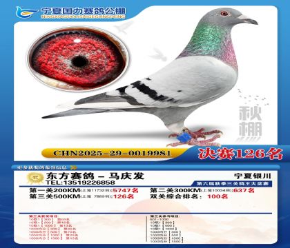 国力秋棚决赛126名