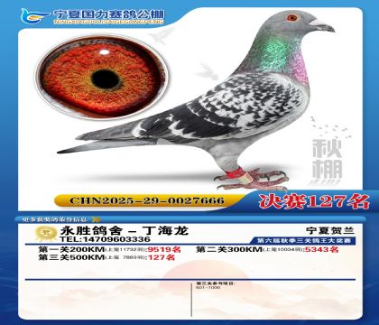 国力秋棚决赛127名