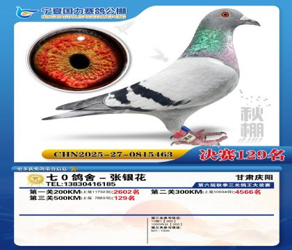 国力秋棚决赛129名