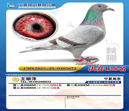 国力秋棚决赛128名