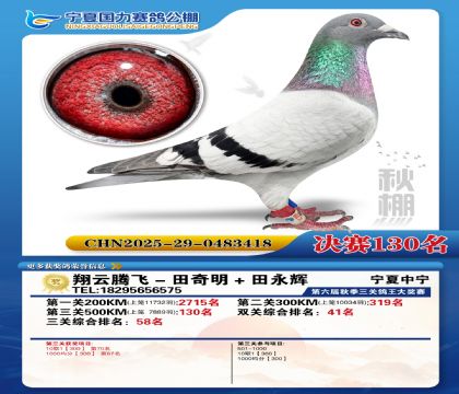 国力秋棚决赛130名