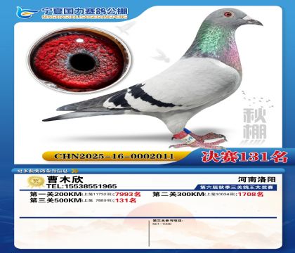 国力秋棚决赛131名