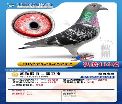 国力秋棚决赛133名