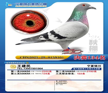 国力秋棚决赛134名