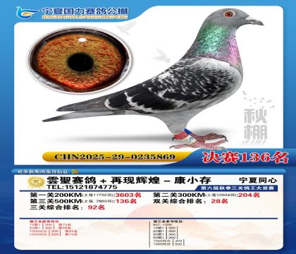 国力秋棚决赛136名