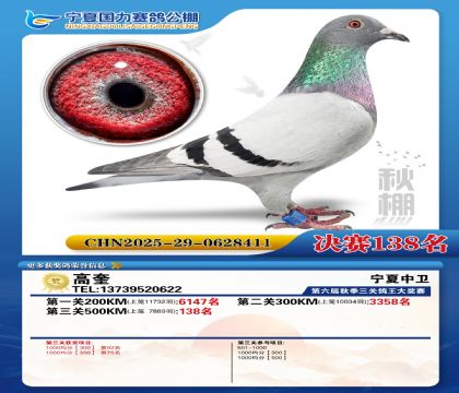 国力秋棚决赛138名