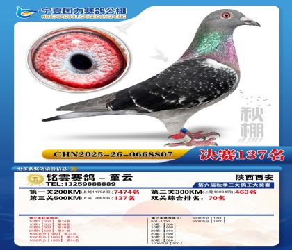 国力秋棚决赛137名