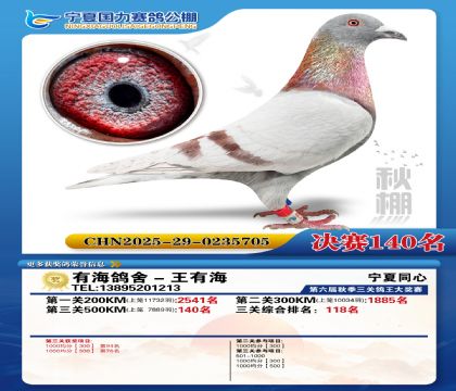 国力秋棚决赛140名