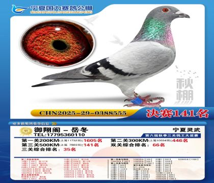 国力秋棚决赛141名