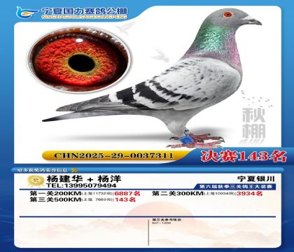 国力秋棚决赛143名